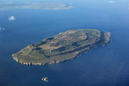 Goat Island Experience